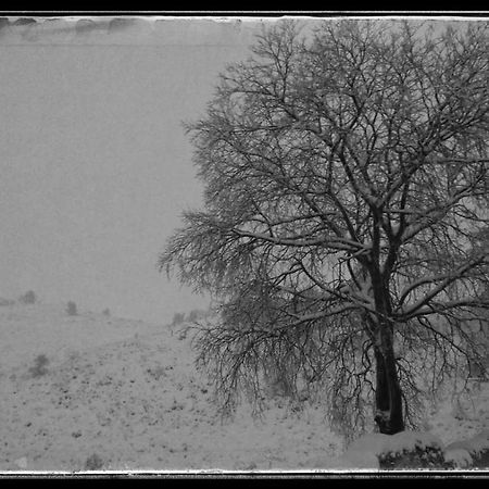 Casa Rural Casa Gimeno Pension Bocairent Buitenkant foto