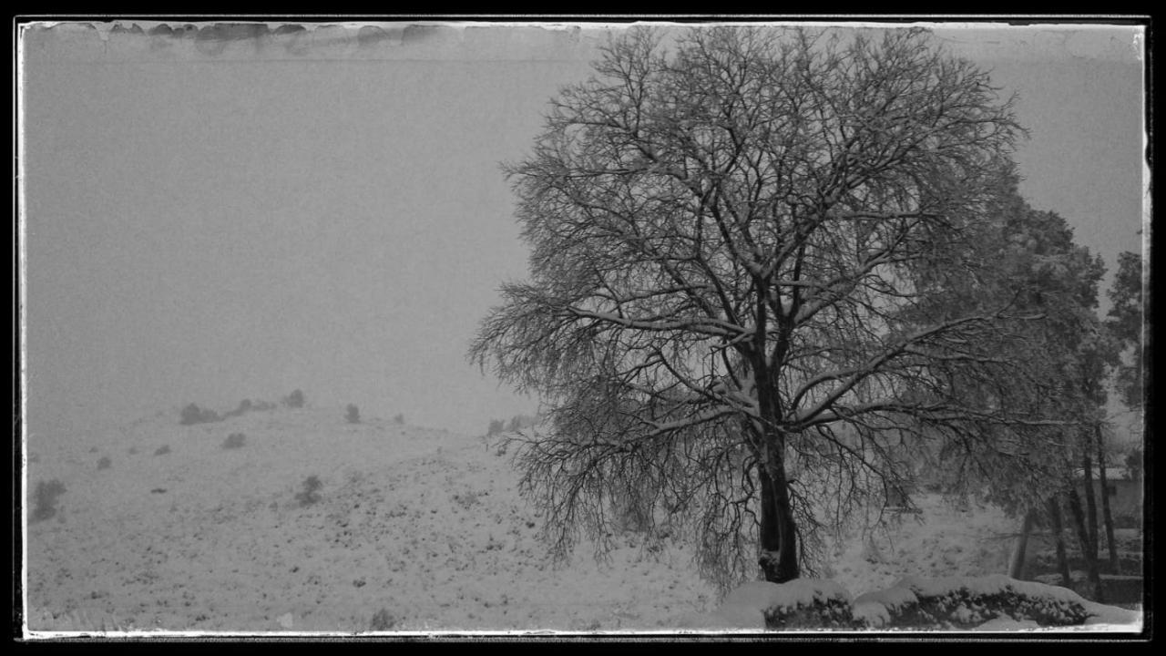 Casa Rural Casa Gimeno Pension Bocairent Buitenkant foto